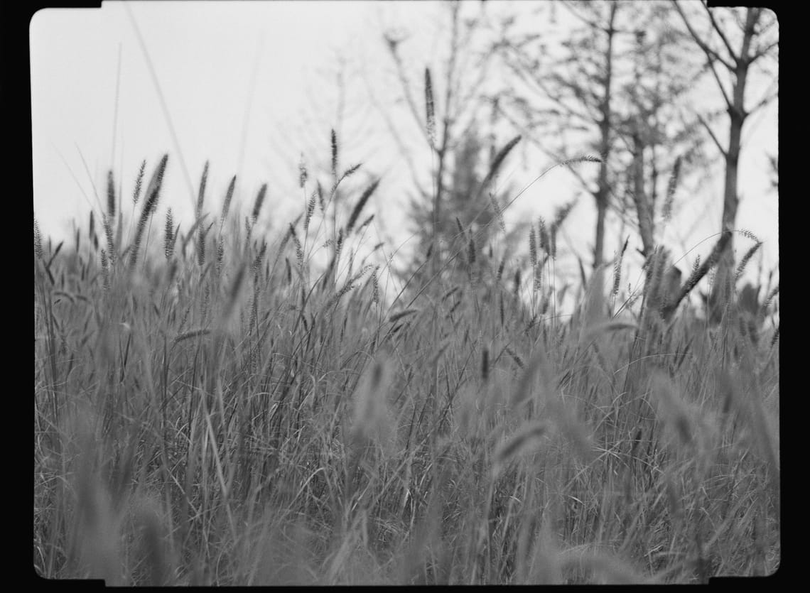 (Untitled)