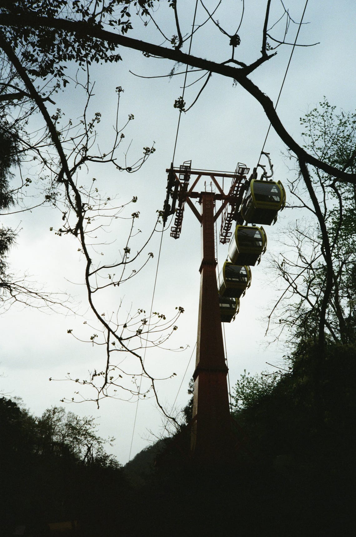 (Untitled)